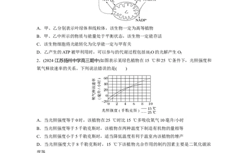 第三单元　课时练18光合速率和呼吸速率的综合分析_2025年新高考资料_一轮复习_2025大一轮复习讲义+课件（完结）_2025大一轮复习讲义生物学生用书Word版文档整书_2025一轮复习73练