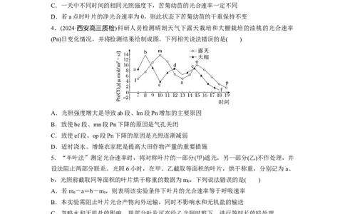 第三单元　课时练18光合速率和呼吸速率的综合分析_2025年新高考资料_一轮复习_2025大一轮复习讲义+课件（完结）_2025大一轮复习讲义生物学生用书Word版文档整书_2025一轮复习73练