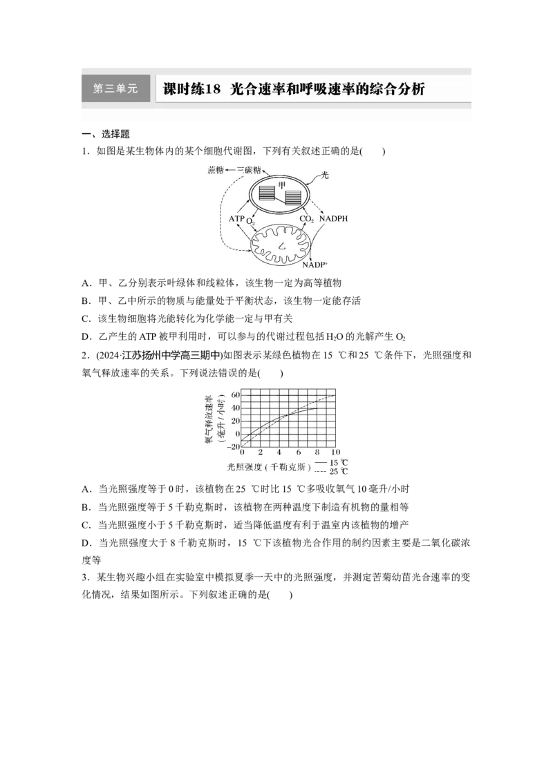 第三单元　课时练18光合速率和呼吸速率的综合分析_2025年新高考资料_一轮复习_2025大一轮复习讲义+课件（完结）_2025大一轮复习讲义生物学生用书Word版文档整书_2025一轮复习73练