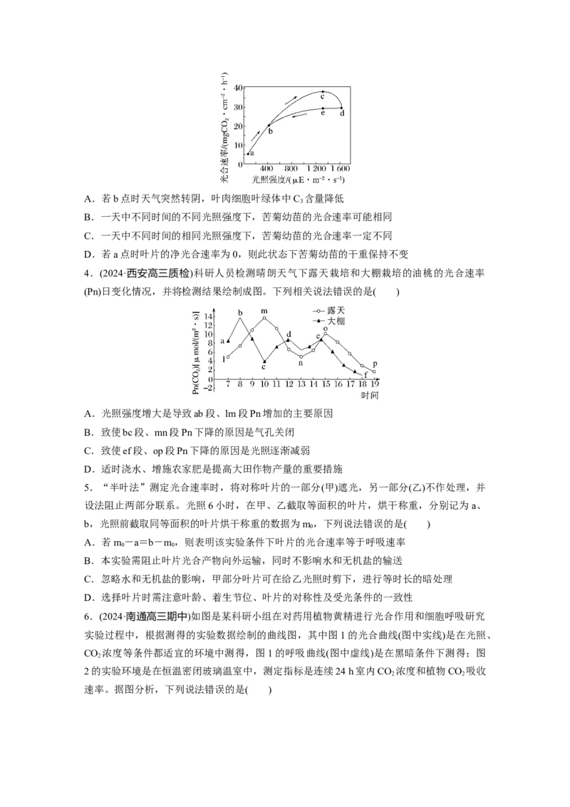 第三单元　课时练18光合速率和呼吸速率的综合分析_2025年新高考资料_一轮复习_2025大一轮复习讲义+课件（完结）_2025大一轮复习讲义生物学生用书Word版文档整书_2025一轮复习73练