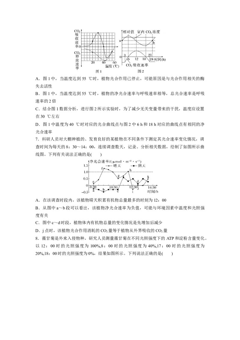 第三单元　课时练18光合速率和呼吸速率的综合分析_2025年新高考资料_一轮复习_2025大一轮复习讲义+课件（完结）_2025大一轮复习讲义生物学生用书Word版文档整书_2025一轮复习73练