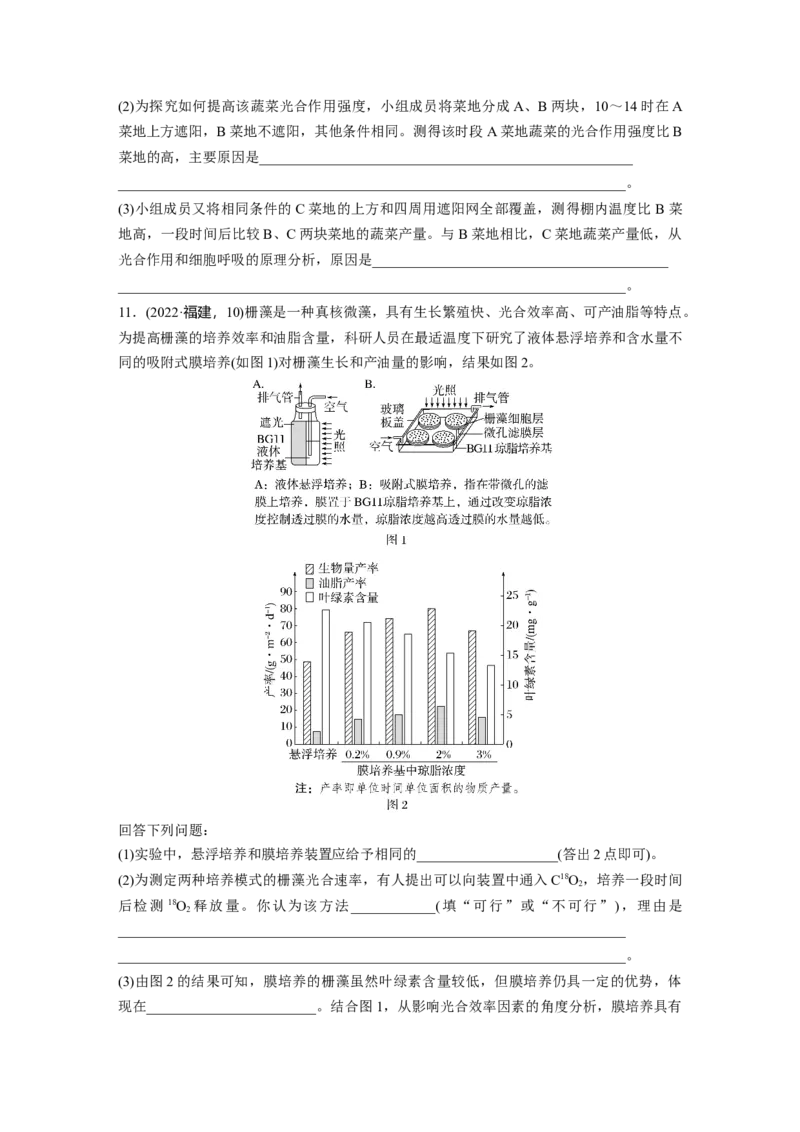 第三单元　课时练18光合速率和呼吸速率的综合分析_2025年新高考资料_一轮复习_2025大一轮复习讲义+课件（完结）_2025大一轮复习讲义生物学生用书Word版文档整书_2025一轮复习73练