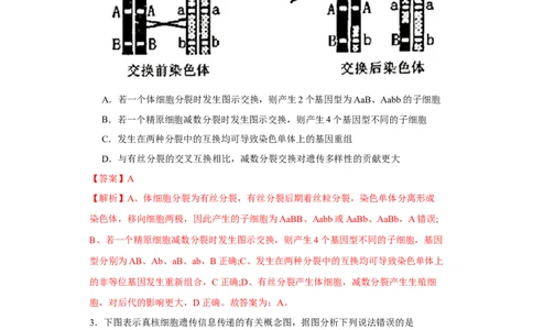 第三单元细胞的分化、衰老、凋亡及癌变（B卷能力提升练）-2022年高考生物一轮复习单元滚动双测卷（解析版）_新高考复习资料_2023年新高考复习资料_一轮复习