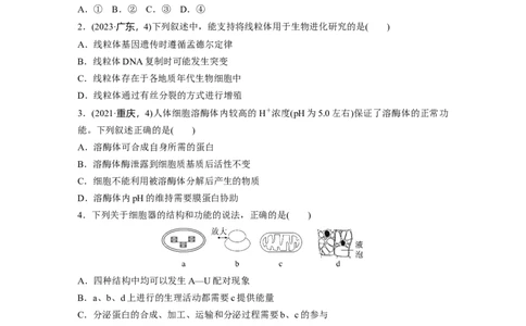 第二单元　课时练7细胞器之间的分工_2025年新高考资料_一轮复习_2025大一轮复习讲义+课件（完结）_2025大一轮复习讲义生物学生用书Word版文档整书_2025一轮复习73练