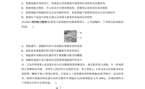 第二单元　课时练7细胞器之间的分工_2025年新高考资料_一轮复习_2025大一轮复习讲义+课件（完结）_2025大一轮复习讲义生物学生用书Word版文档整书_2025一轮复习73练