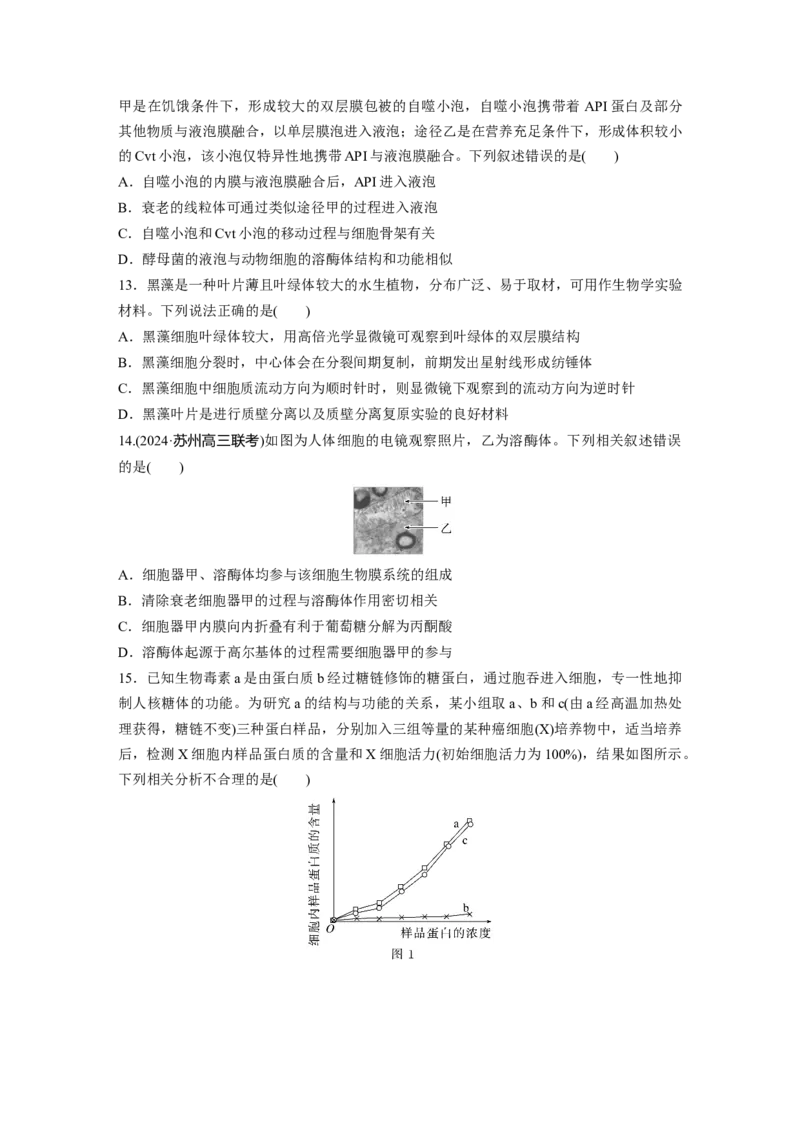 第二单元　课时练7细胞器之间的分工_2025年新高考资料_一轮复习_2025大一轮复习讲义+课件（完结）_2025大一轮复习讲义生物学生用书Word版文档整书_2025一轮复习73练