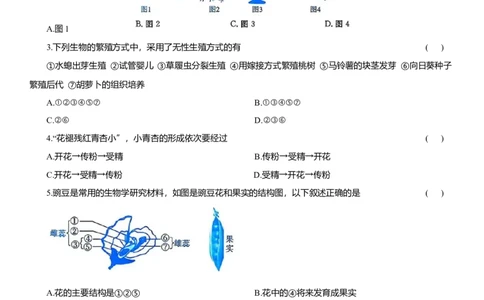 2026年中考生物复习专题练习：专题二十二生殖和发育（含答案）_6生物中考复习_2026年中考复习（更新中）_2026年中考生物一轮复习专题练习（含答案）