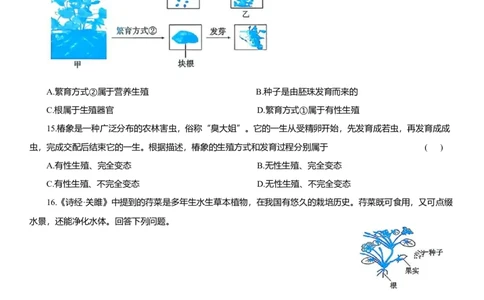 2026年中考生物复习专题练习：专题二十二生殖和发育（含答案）_6生物中考复习_2026年中考复习（更新中）_2026年中考生物一轮复习专题练习（含答案）