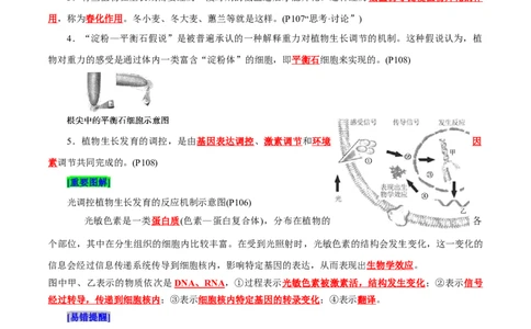 第5章植物生命活动的调节（背诵版）_2025年新高考资料_专项复习_晨读晚默备战2025年高考生物必背知识清单_第5章植物生命活动的调节-晨读晚默备战2025年高考生物必背知识清单