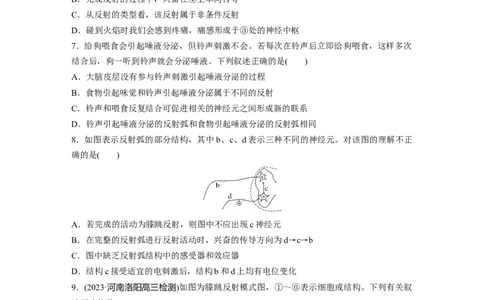 第8单元　课时练2　神经调节的结构基础及基本方式_新高考复习资料_2024年新高考复习资料_一轮复习资料_完2024生物步步高大一轮复习（课件+讲义）_学生版在此文件夹_一轮复习69练