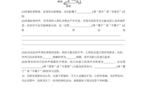 第8单元　课时练2　神经调节的结构基础及基本方式_新高考复习资料_2024年新高考复习资料_一轮复习资料_完2024生物步步高大一轮复习（课件+讲义）_学生版在此文件夹_一轮复习69练