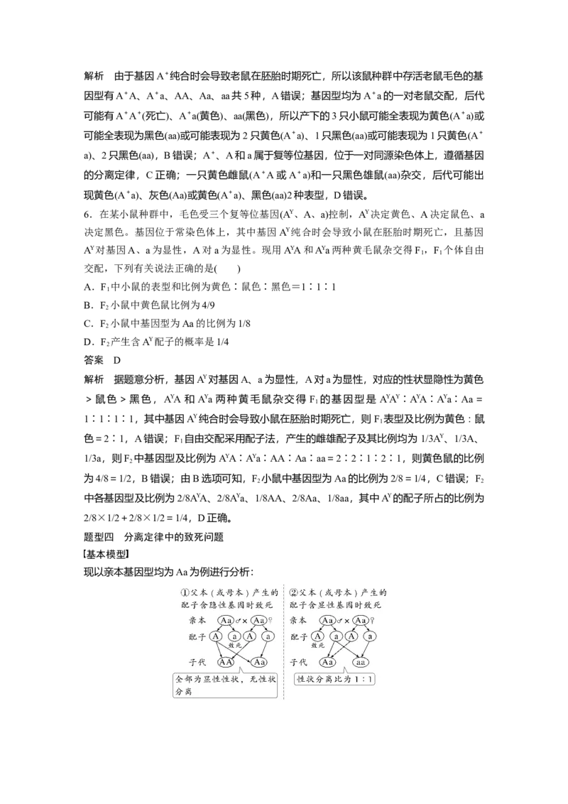 第五单元　专题突破5　基因分离定律拓展题型突破_2025年新高考资料_一轮复习_2025大一轮复习讲义+课件（完结）_2025大一轮复习讲义生物教师用书Word版文档整书