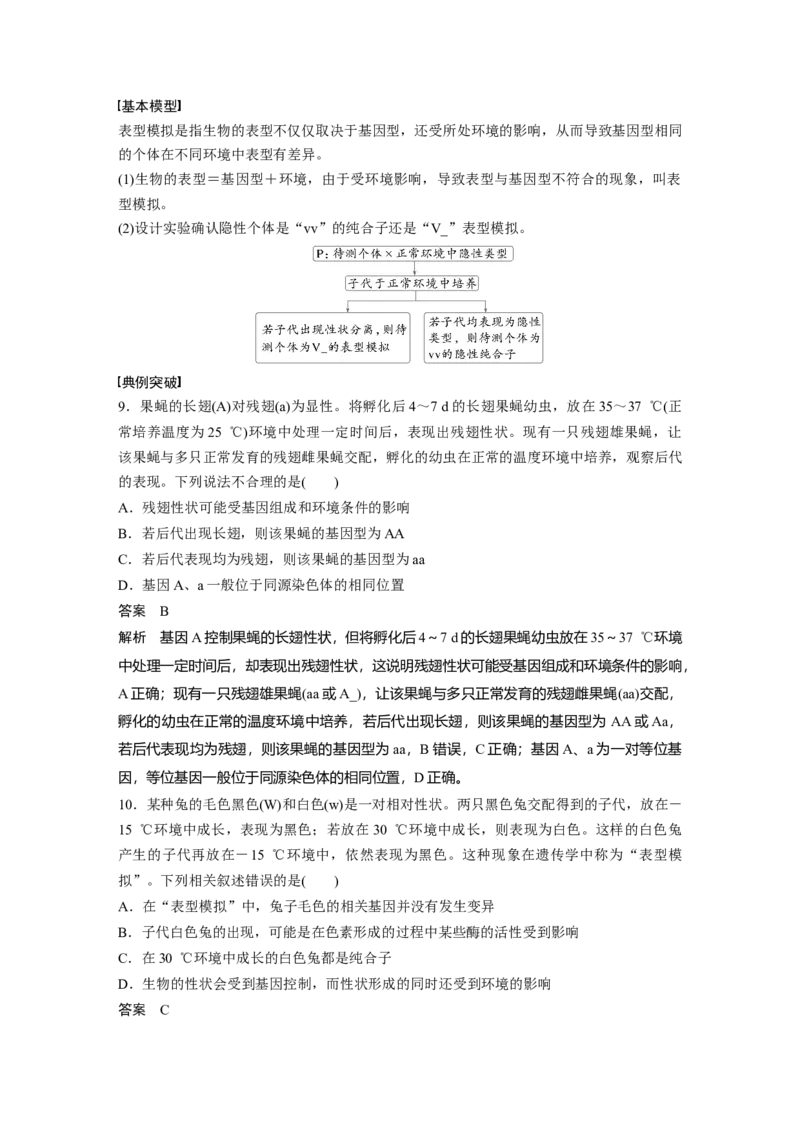 第五单元　专题突破5　基因分离定律拓展题型突破_2025年新高考资料_一轮复习_2025大一轮复习讲义+课件（完结）_2025大一轮复习讲义生物教师用书Word版文档整书