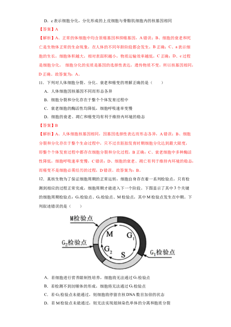 第三单元细胞的分化、衰老、凋亡及癌变（A卷新题基础练）-2022年高考生物一轮复习单元滚动双测卷（解析版）_新高考复习资料_2023年新高考复习资料_一轮复习