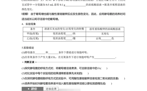 第三单元　第13课时　细胞呼吸的方式和有氧呼吸_2025年新高考资料_一轮复习_2025大一轮复习讲义+课件（完结）_2025大一轮复习讲义生物学生用书Word版文档整书_2025大一轮复习讲义