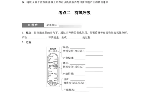 第三单元　第13课时　细胞呼吸的方式和有氧呼吸_2025年新高考资料_一轮复习_2025大一轮复习讲义+课件（完结）_2025大一轮复习讲义生物学生用书Word版文档整书_2025大一轮复习讲义