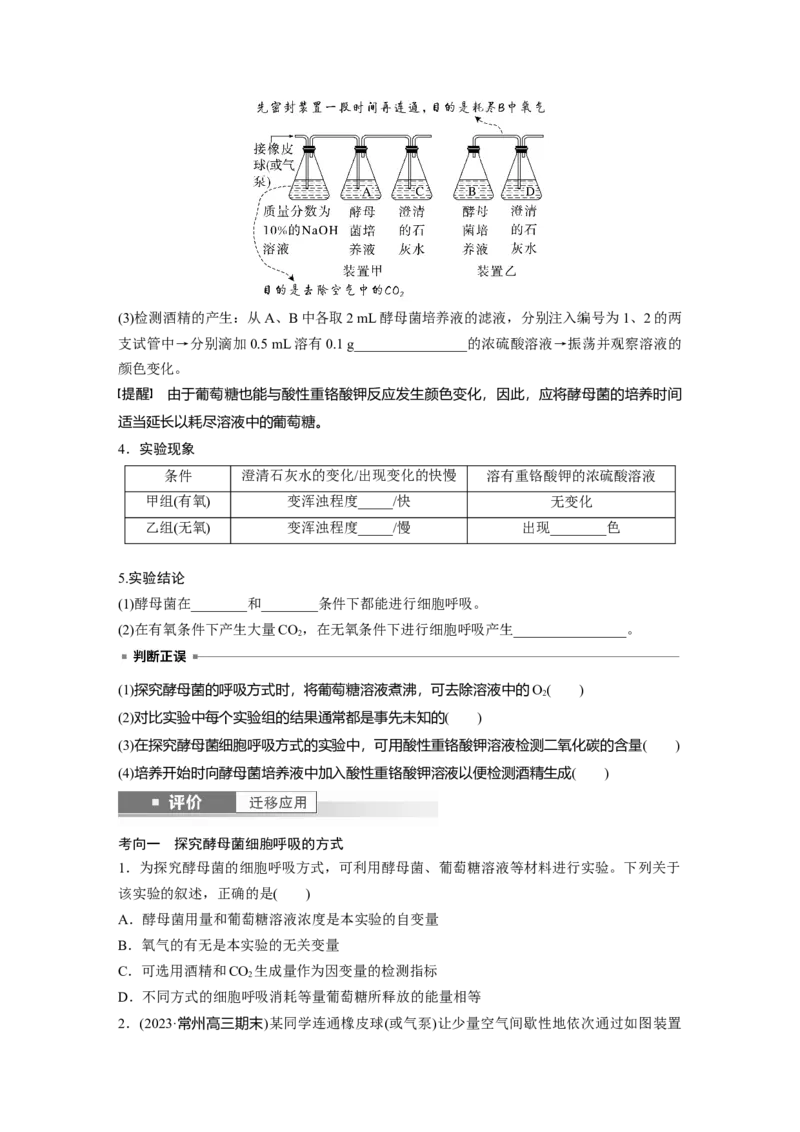 第三单元　第13课时　细胞呼吸的方式和有氧呼吸_2025年新高考资料_一轮复习_2025大一轮复习讲义+课件（完结）_2025大一轮复习讲义生物学生用书Word版文档整书_2025大一轮复习讲义