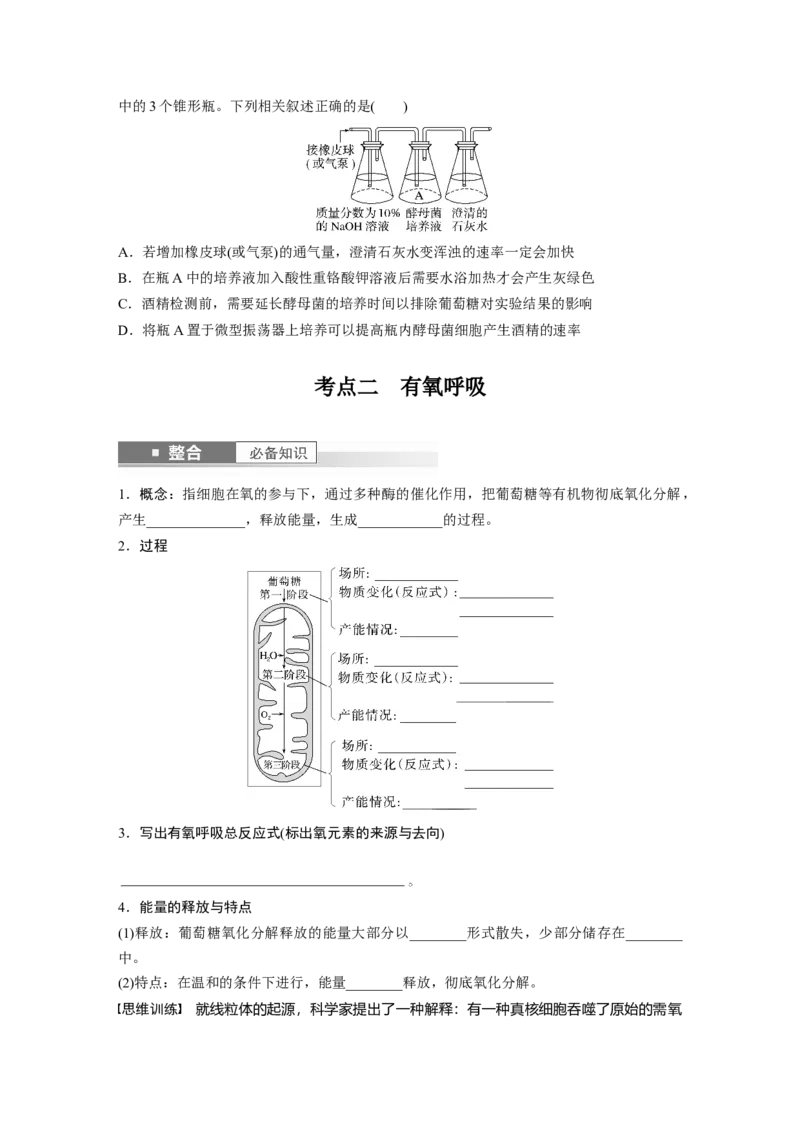 第三单元　第13课时　细胞呼吸的方式和有氧呼吸_2025年新高考资料_一轮复习_2025大一轮复习讲义+课件（完结）_2025大一轮复习讲义生物学生用书Word版文档整书_2025大一轮复习讲义