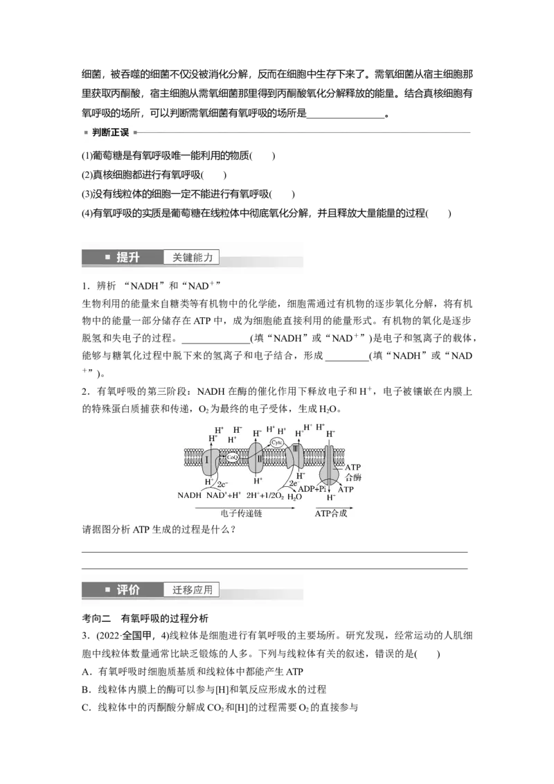 第三单元　第13课时　细胞呼吸的方式和有氧呼吸_2025年新高考资料_一轮复习_2025大一轮复习讲义+课件（完结）_2025大一轮复习讲义生物学生用书Word版文档整书_2025大一轮复习讲义