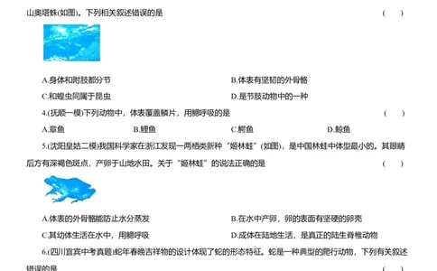 2026年中考生物复习专题练习：专题五动物（含答案）_6生物中考复习_2026年中考复习（更新中）_2026年中考生物一轮复习专题练习（含答案）