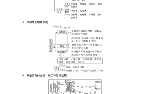 第一篇专题一考点三　细胞的类型、结构和功能_通用版（老高考）复习资料_2023年复习资料_二轮复习_2023年高考生物二轮复习讲义+课件（全国版）_2023年高考生物二轮复习讲义（全国版）