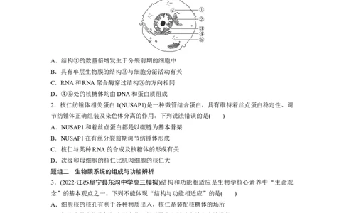 第一篇专题一考点三　细胞的类型、结构和功能_通用版（老高考）复习资料_2023年复习资料_二轮复习_2023年高考生物二轮复习讲义+课件（全国版）_2023年高考生物二轮复习讲义（全国版）