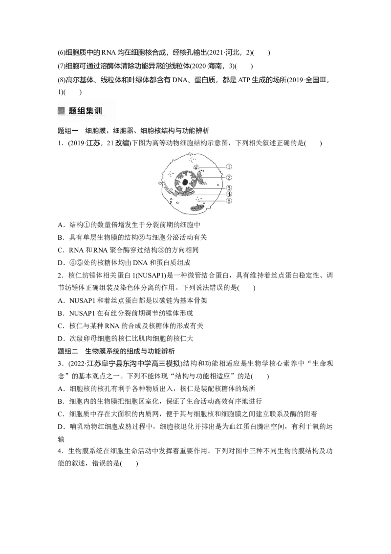 第一篇专题一考点三　细胞的类型、结构和功能_通用版（老高考）复习资料_2023年复习资料_二轮复习_2023年高考生物二轮复习讲义+课件（全国版）_2023年高考生物二轮复习讲义（全国版）