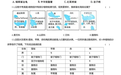 2026年中考生物复习专题练习：专题七生物分类（含答案）_6生物中考复习_2026年中考复习（更新中）_2026年中考生物一轮复习专题练习（含答案）