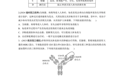 第八单元　课时练42　免疫系统的组成、功能及特异性免疫_2025年新高考资料_一轮复习_2025大一轮复习讲义+课件（完结）_2025大一轮复习讲义生物学生用书Word版文档整书