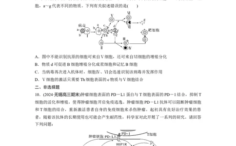 第八单元　课时练42　免疫系统的组成、功能及特异性免疫_2025年新高考资料_一轮复习_2025大一轮复习讲义+课件（完结）_2025大一轮复习讲义生物学生用书Word版文档整书