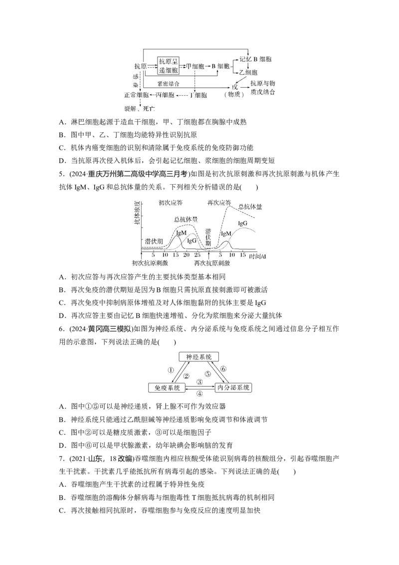 第八单元　课时练42　免疫系统的组成、功能及特异性免疫_2025年新高考资料_一轮复习_2025大一轮复习讲义+课件（完结）_2025大一轮复习讲义生物学生用书Word版文档整书