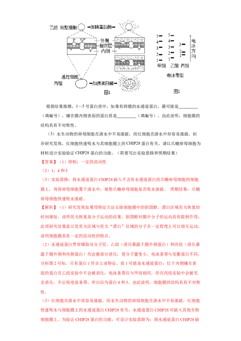 第一单元组成细胞的分子和结构梳理（A卷新题基础练）-2022年高考生物一轮复习单元滚动双测卷（解析版）_新高考复习资料_2023年新高考复习资料_一轮复习