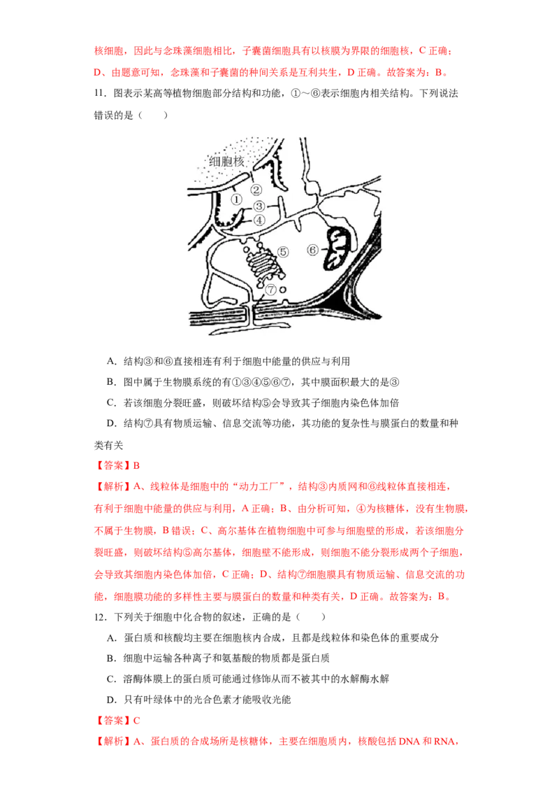 第一单元组成细胞的分子和结构梳理（A卷新题基础练）-2022年高考生物一轮复习单元滚动双测卷（解析版）_新高考复习资料_2023年新高考复习资料_一轮复习