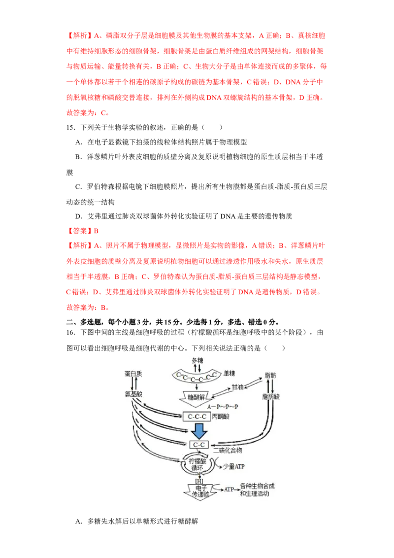 第一单元组成细胞的分子和结构梳理（A卷新题基础练）-2022年高考生物一轮复习单元滚动双测卷（解析版）_新高考复习资料_2023年新高考复习资料_一轮复习