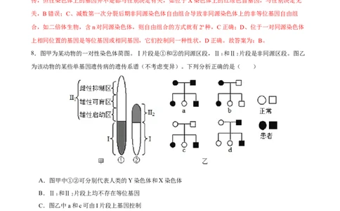 第六单元伴性遗传及其人类遗传病剖析（B卷能力提升练）-2023年高考生物一轮复习单元滚动双测卷（新高考专用）（解析版）_新高考复习资料_2023年新高考复习资料_一轮复习