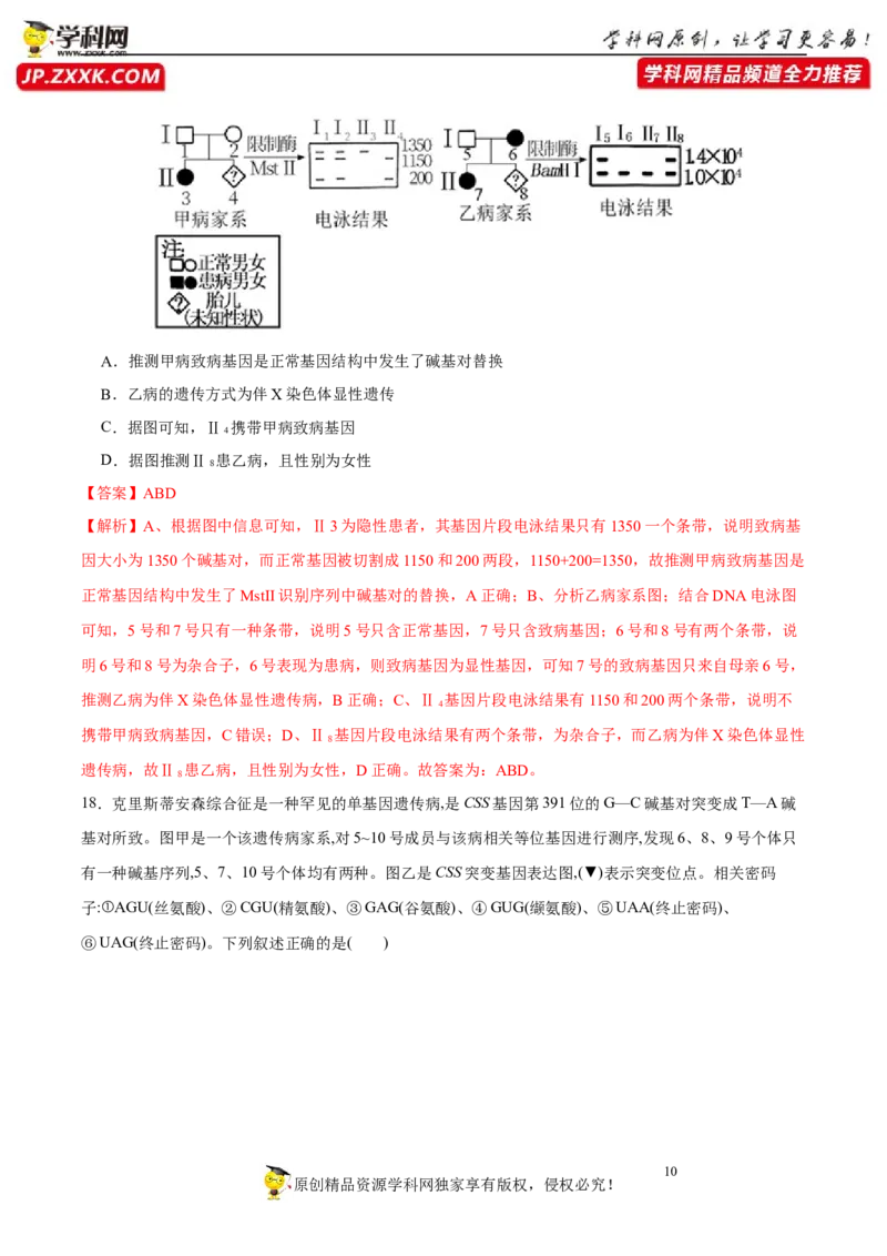第六单元伴性遗传及其人类遗传病剖析（B卷能力提升练）-2023年高考生物一轮复习单元滚动双测卷（新高考专用）（解析版）_新高考复习资料_2023年新高考复习资料_一轮复习