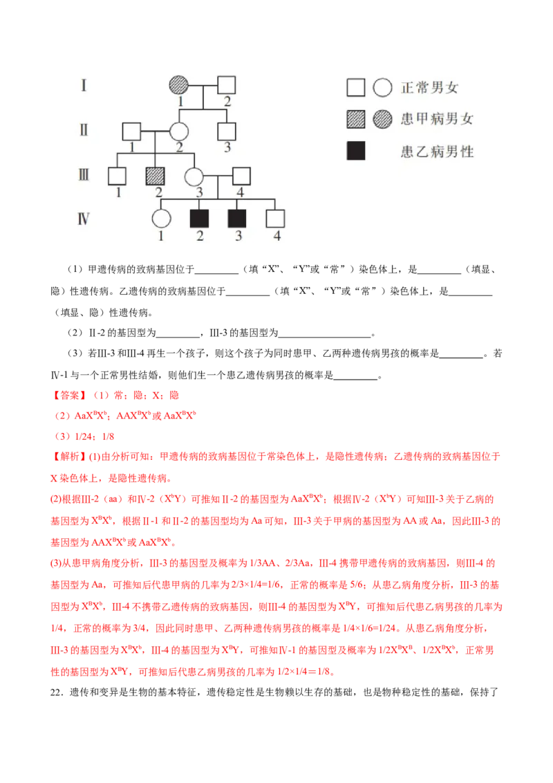 第六单元伴性遗传及其人类遗传病剖析（B卷能力提升练）-2023年高考生物一轮复习单元滚动双测卷（新高考专用）（解析版）_新高考复习资料_2023年新高考复习资料_一轮复习