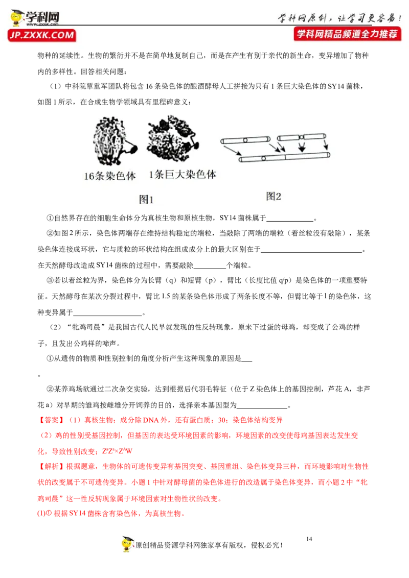 第六单元伴性遗传及其人类遗传病剖析（B卷能力提升练）-2023年高考生物一轮复习单元滚动双测卷（新高考专用）（解析版）_新高考复习资料_2023年新高考复习资料_一轮复习