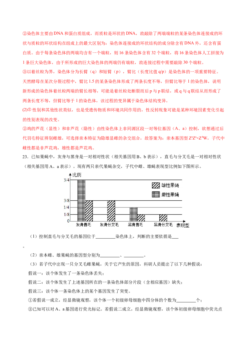 第六单元伴性遗传及其人类遗传病剖析（B卷能力提升练）-2023年高考生物一轮复习单元滚动双测卷（新高考专用）（解析版）_新高考复习资料_2023年新高考复习资料_一轮复习