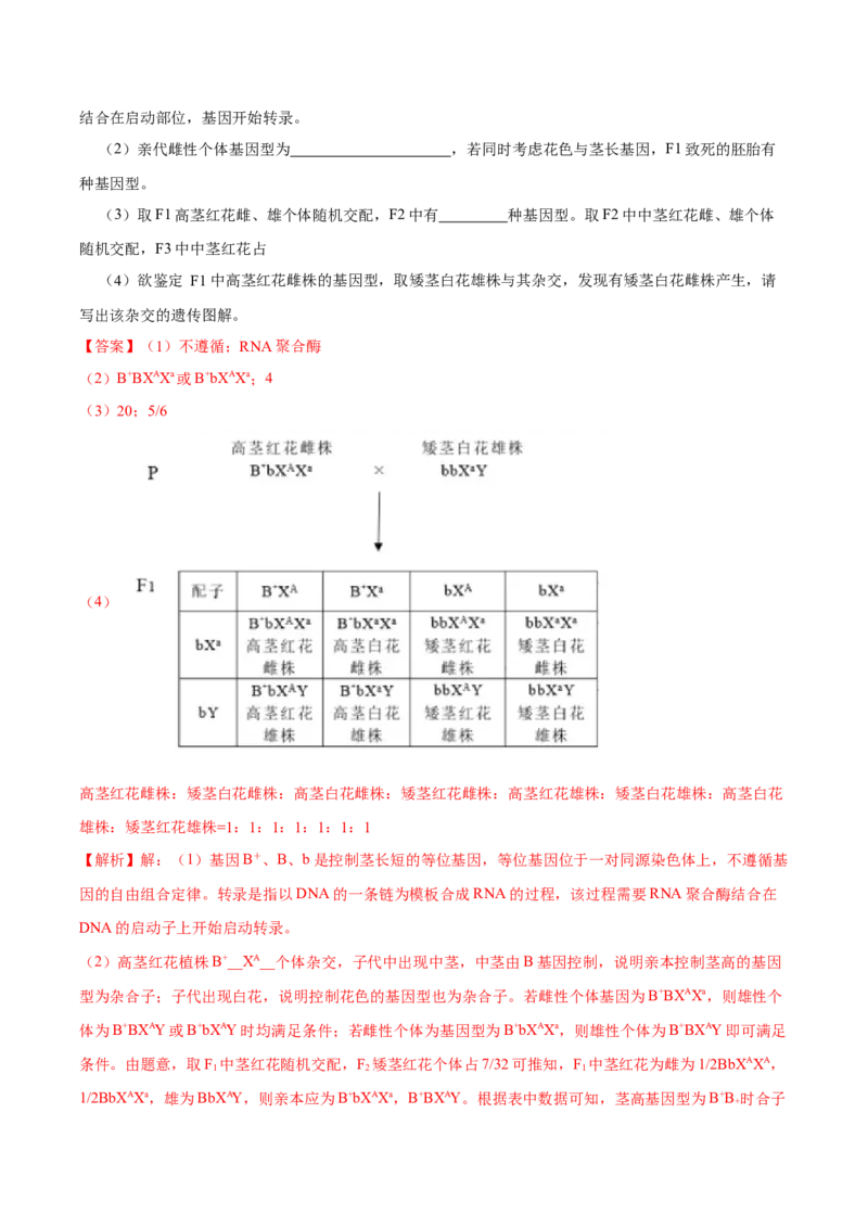 第六单元伴性遗传及其人类遗传病剖析（B卷能力提升练）-2023年高考生物一轮复习单元滚动双测卷（新高考专用）（解析版）_新高考复习资料_2023年新高考复习资料_一轮复习
