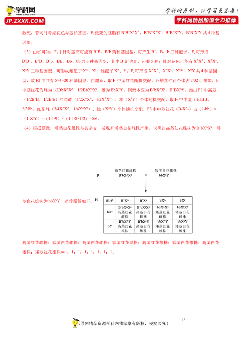 第六单元伴性遗传及其人类遗传病剖析（B卷能力提升练）-2023年高考生物一轮复习单元滚动双测卷（新高考专用）（解析版）_新高考复习资料_2023年新高考复习资料_一轮复习
