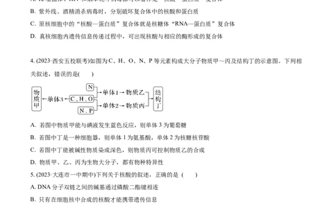 第4讲遗传信息的携带者&mdash;&mdash;核酸（原卷版）_通用版（老高考）复习资料_2024年复习资料_完备战2024年高考生物一轮复习考点帮（全国通用）_专题二细胞的物质基础