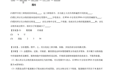 第4讲遗传信息的携带者&mdash;&mdash;核酸（原卷版）_通用版（老高考）复习资料_2024年复习资料_完备战2024年高考生物一轮复习考点帮（全国通用）_专题二细胞的物质基础