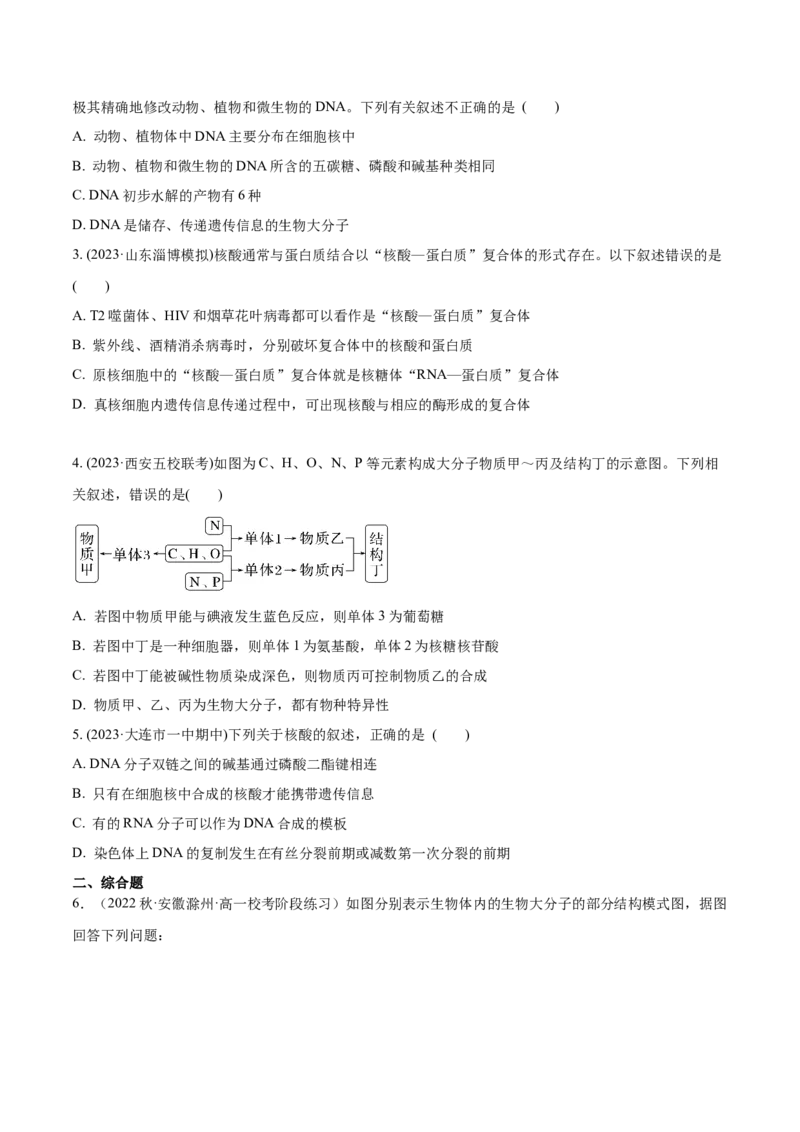 第4讲遗传信息的携带者&mdash;&mdash;核酸（原卷版）_通用版（老高考）复习资料_2024年复习资料_完备战2024年高考生物一轮复习考点帮（全国通用）_专题二细胞的物质基础