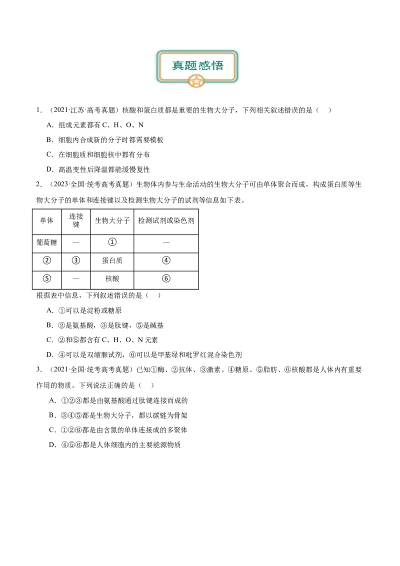 第4讲遗传信息的携带者&mdash;&mdash;核酸（原卷版）_通用版（老高考）复习资料_2024年复习资料_完备战2024年高考生物一轮复习考点帮（全国通用）_专题二细胞的物质基础