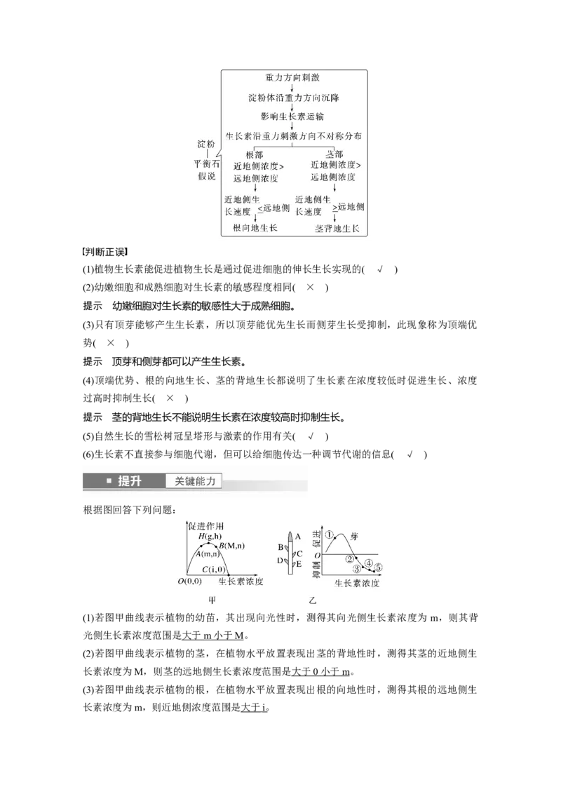 第八单元　第44课时　植物生长素_2025年新高考资料_一轮复习_2025大一轮复习讲义+课件（完结）_2025大一轮复习讲义生物教师用书Word版文档整书_配套Word版文档第七~十单元