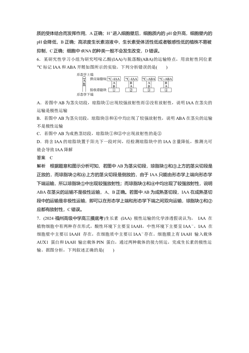 第八单元　第44课时　植物生长素_2025年新高考资料_一轮复习_2025大一轮复习讲义+课件（完结）_2025大一轮复习讲义生物教师用书Word版文档整书_配套Word版文档第七~十单元