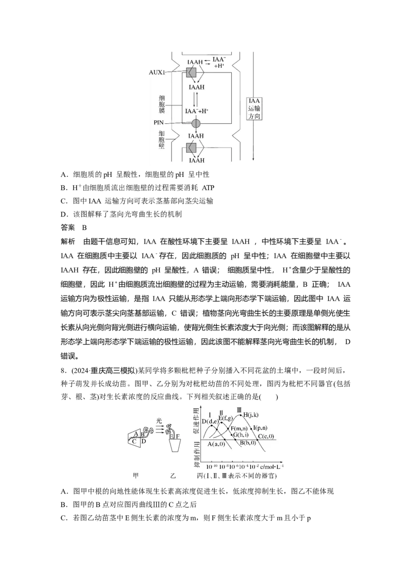 第八单元　第44课时　植物生长素_2025年新高考资料_一轮复习_2025大一轮复习讲义+课件（完结）_2025大一轮复习讲义生物教师用书Word版文档整书_配套Word版文档第七~十单元