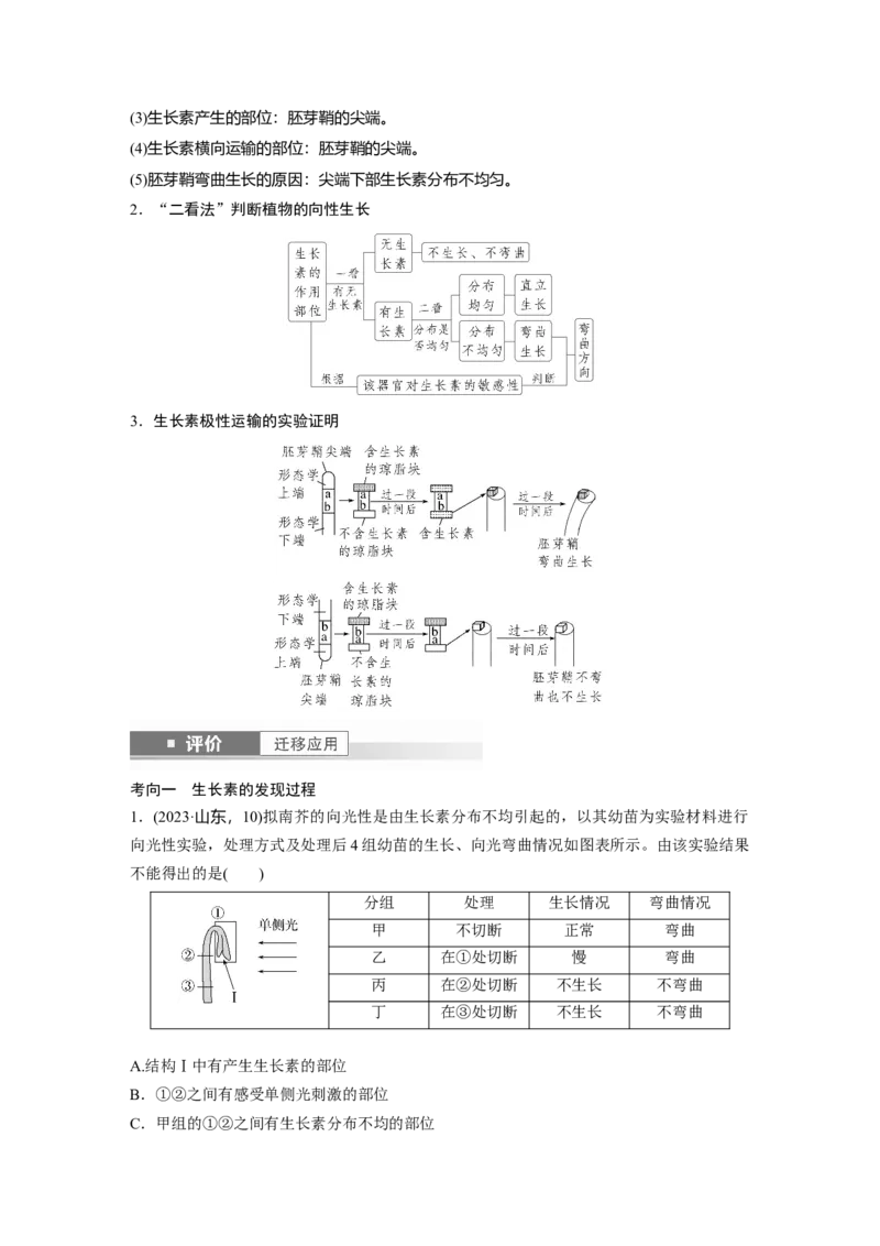 第八单元　第44课时　植物生长素_2025年新高考资料_一轮复习_2025大一轮复习讲义+课件（完结）_2025大一轮复习讲义生物教师用书Word版文档整书_配套Word版文档第七~十单元