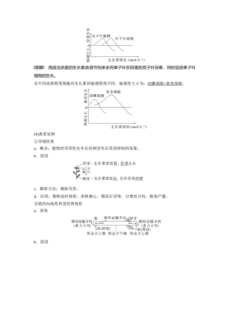 第八单元　第44课时　植物生长素_2025年新高考资料_一轮复习_2025大一轮复习讲义+课件（完结）_2025大一轮复习讲义生物教师用书Word版文档整书_配套Word版文档第七~十单元